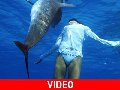 Δελφίνια σώζουν ανθρώπους από καρχαρίες